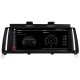 MULTIMEDIA OEM BMW X3 F25/X4 F26